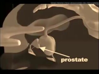 Kaip į duoti a prostata masažas, nemokamai xxx masažas x įvertinti klipas vid
