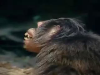 Tarzan-x shame 의 여자 - 부분 1, 무료 x 정격 비디오 88
